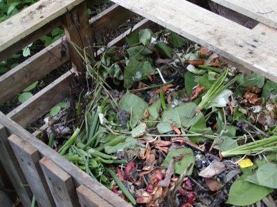 hh_08image_400