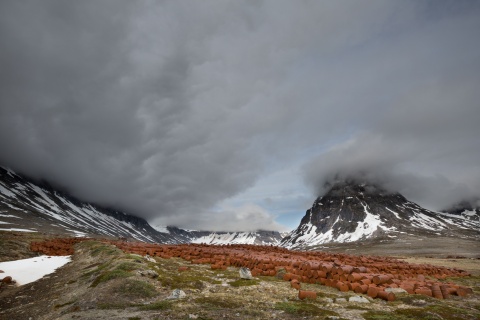 gronland mililtary 3 gronland mililtary 3