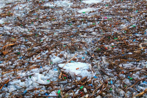 tisza2017_3 tisza2017_3