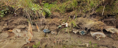 Tisza_petfal Tisza_petfal