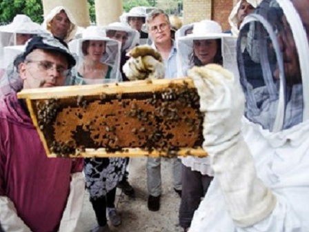 Közösségi méhészkedés