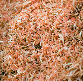 rakpancel2 rakpancel2