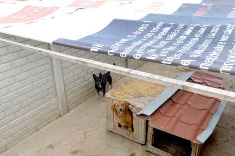 menhelyCIB menhelyCIB