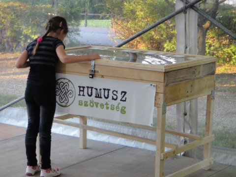 fölösleges áruk fóruma boxos kiállítás