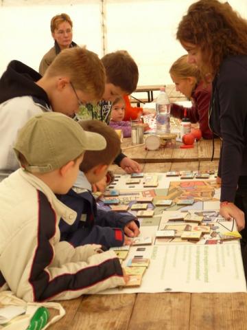 hangyanapok1 hangyanapok1