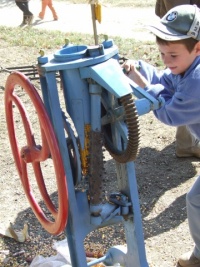 kukoricamorzsolás kukoricamorzsolás