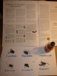 Biodinamikus preparátumok Biodinamikus preparátumok