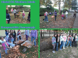 Diadal Úti Iskola Diadal Úti Iskola