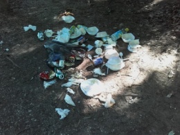 elhagyott csomagolás az erdőben elhagyott csomagolás az erdőben