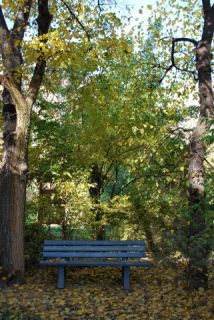 Zöld Oázis Zöld Oázis