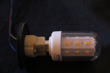 Lámpatest Lámpatest