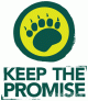 promise promise