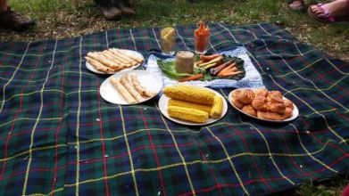 humusz piknik