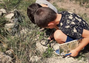 állatok a kertben szülinap